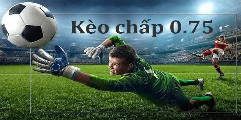 Giới thiệu tổng quan về 0.75 kèo bóng đá 8xbet