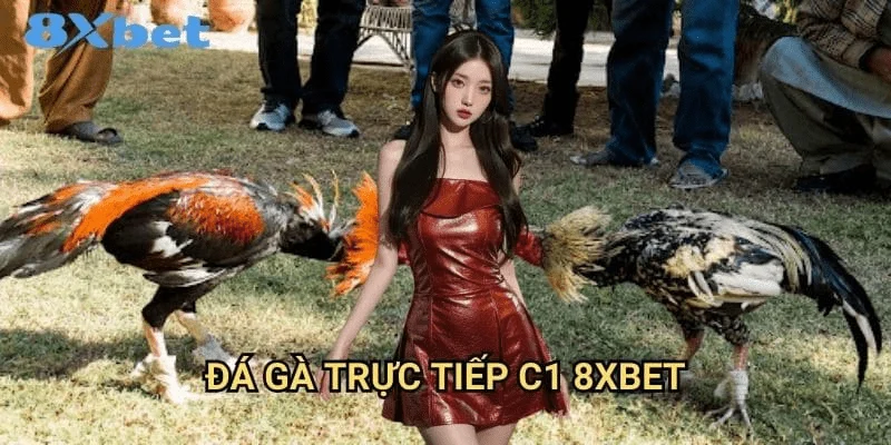 Giới thiệu về Đá gà 8xbet